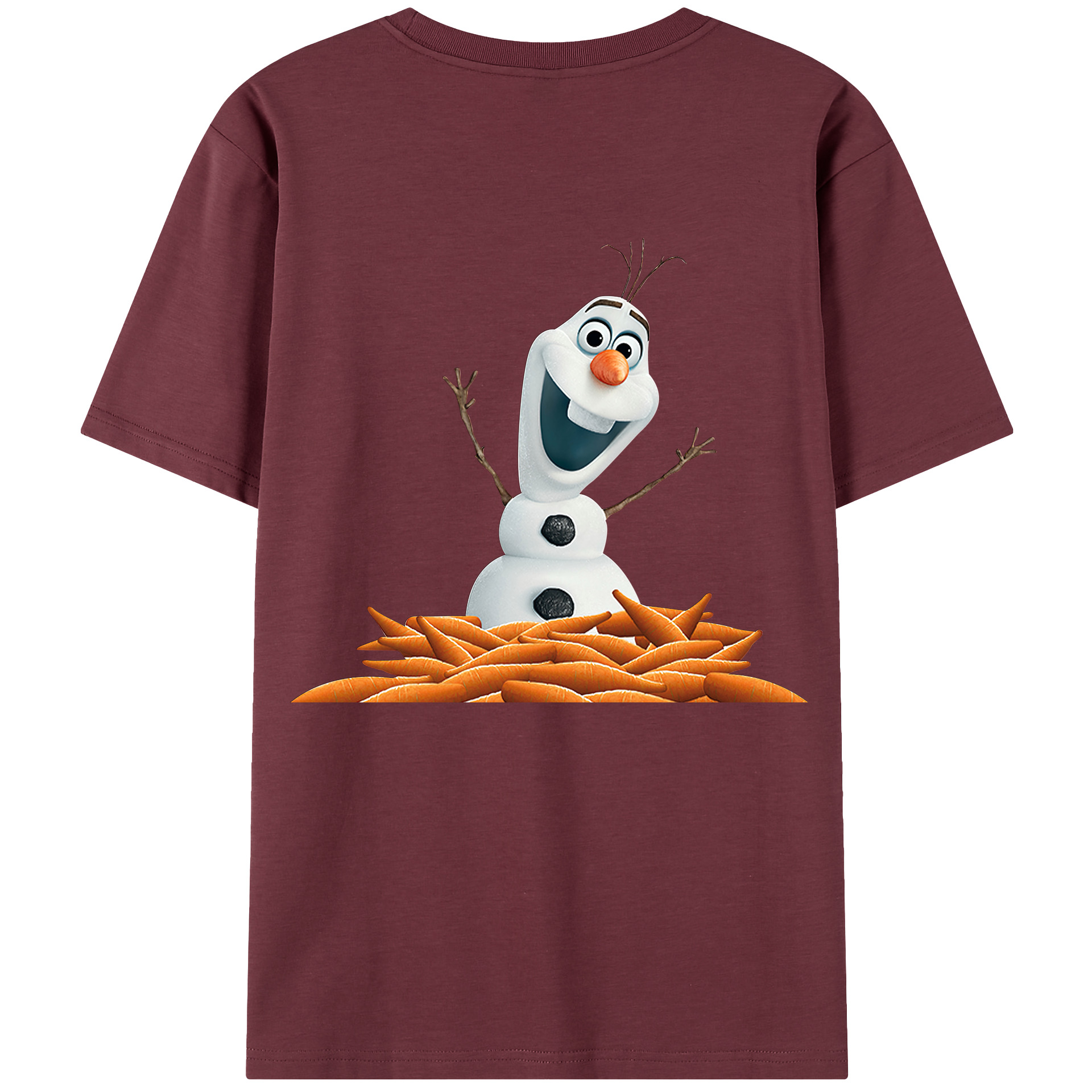（画像用） アナと雪の女王 アンナ エルサ Frozen Anna Elsa 綿100％半袖Tシャツ（背面プリント）